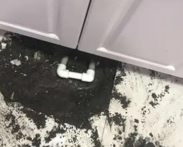 仲巴查漏水哪家好